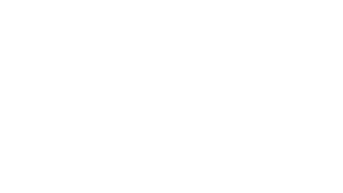 Peters Township SD Logo - White