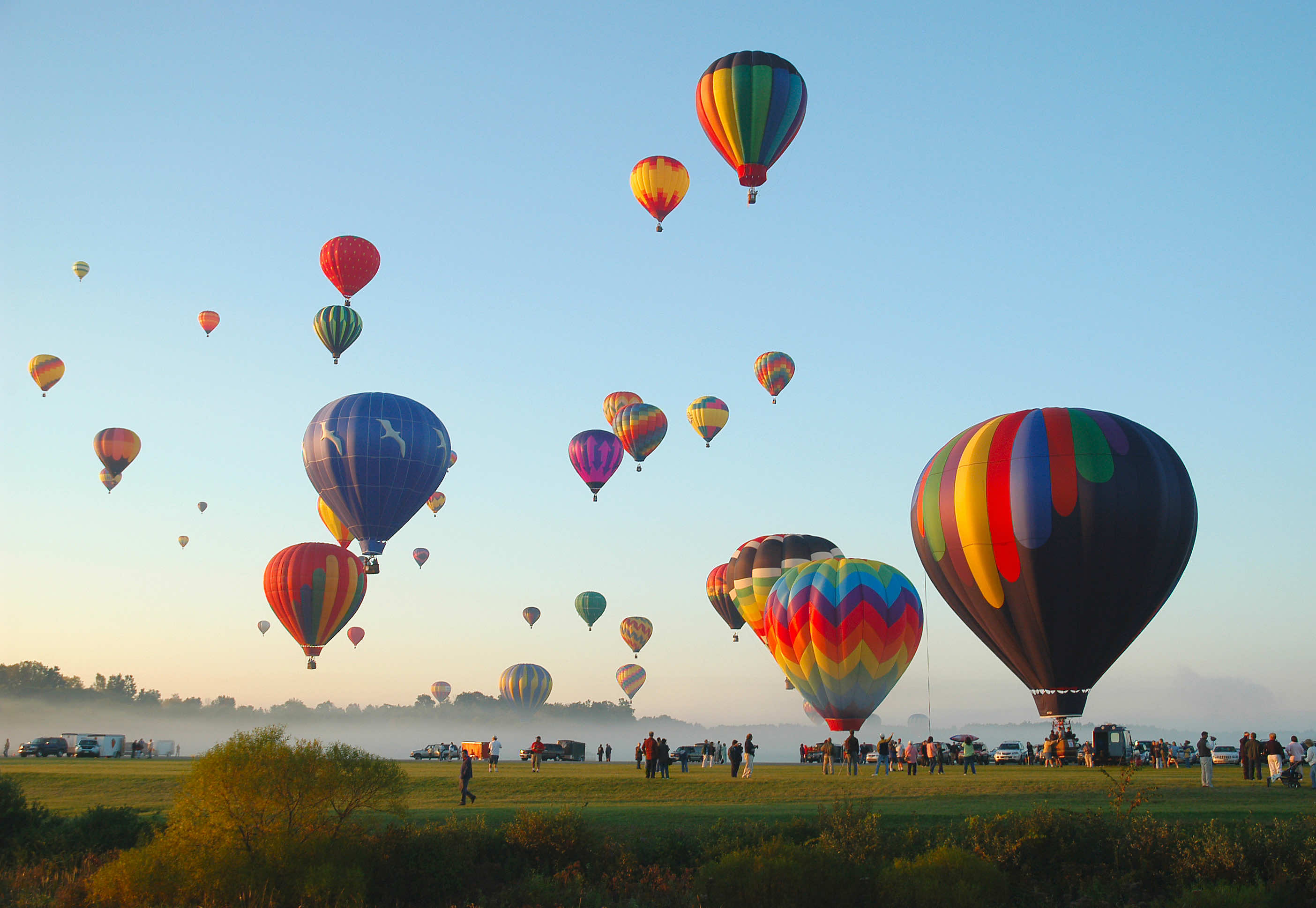 Cluster of hot air balloons rising in the air on an early and foggy morning