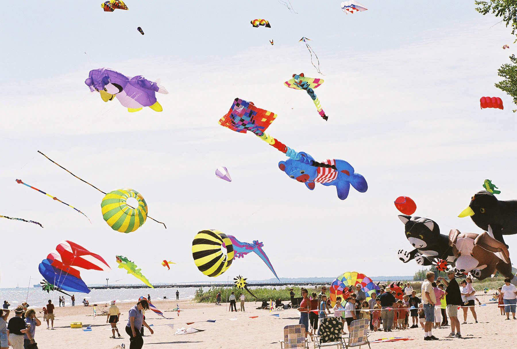 people flying kites on the beach