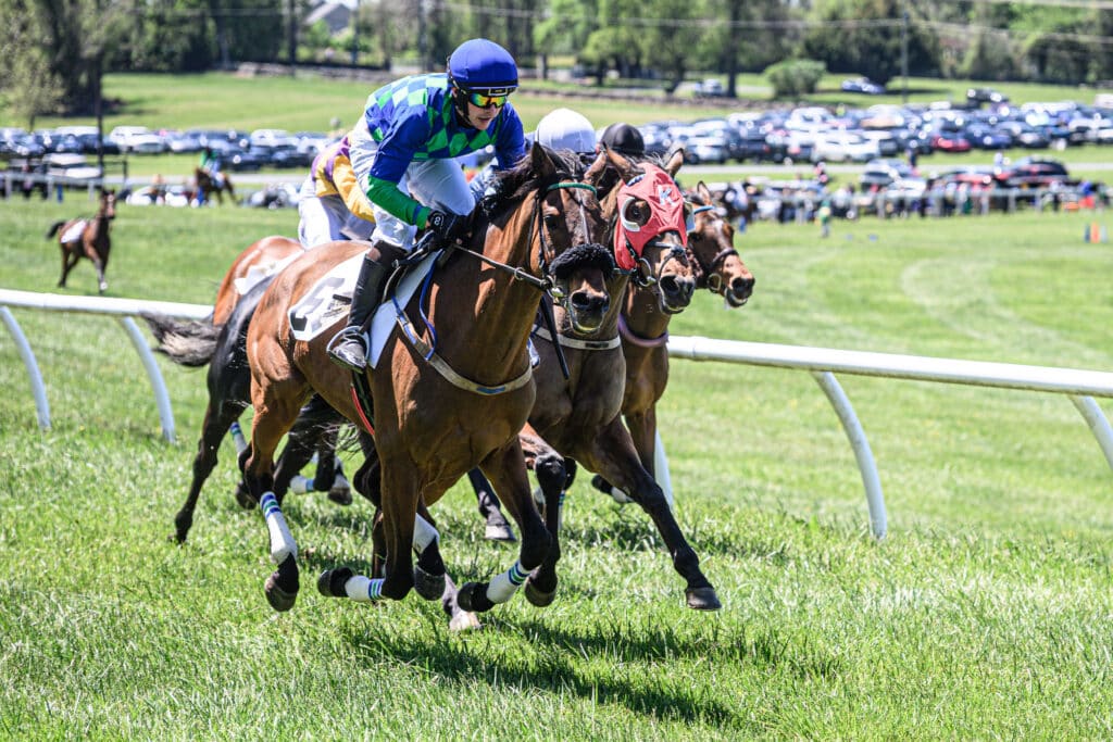 racehorses running to the finish line