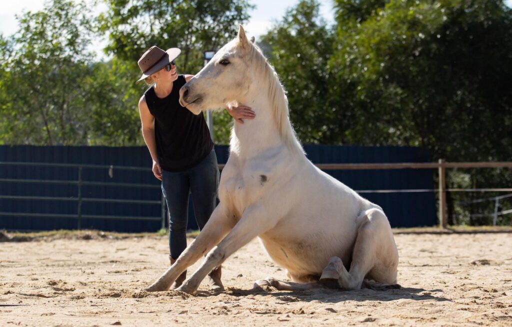 girl placing hand on neck of a white horse getting up from lying down